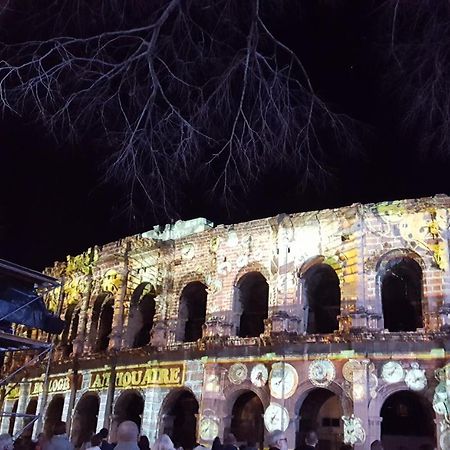 Palmiers Et Crocos Du Vieux Nimes Apartment Екстериор снимка